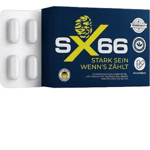 SX66