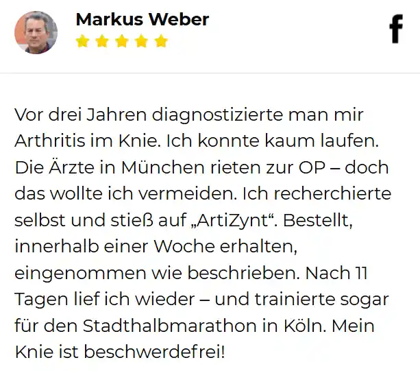 Artizynt OfficialWebsite Bewertung
