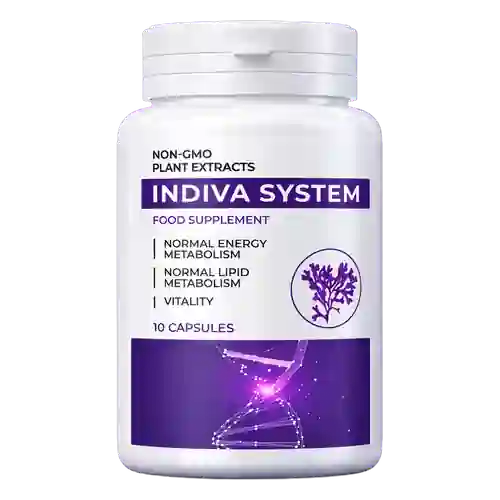 InDiva System