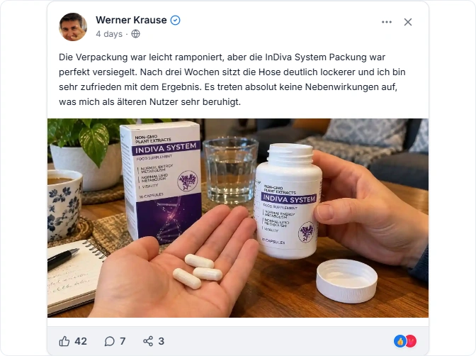 InDiva System Facebook Erfahrungen