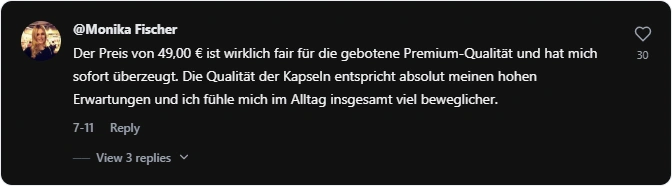 Artizynt Tiktok Bewertung